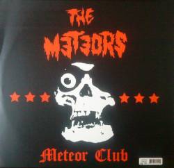 The Meteors : Disneyland - Surf City